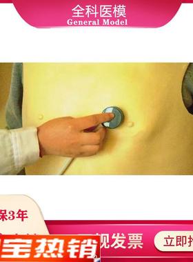 心肺听诊训练模型k背心式临床病理性心音肺音体格检查练习模具假