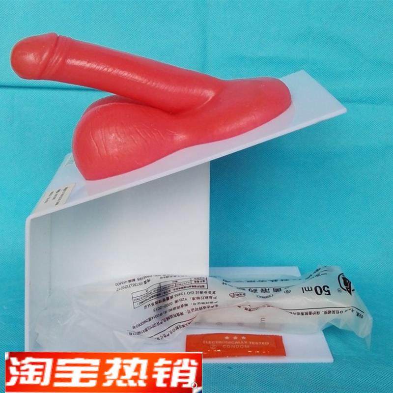 男性生殖器演示模型男v性生殖系统计生教学医用讲解展示