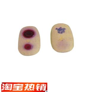 天花病变模块护理模型天t花病毒检查模型医学教学模型护士实习用