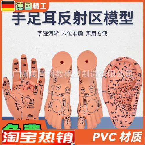 脚穴位模型足部底耳模耳朵w手经络手部推拿针灸足底脚模反射模型