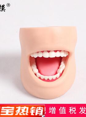 沪模HM/K4牙护l理带脸颊模型正常大小牙护理保健口腔护理清洁牙齿