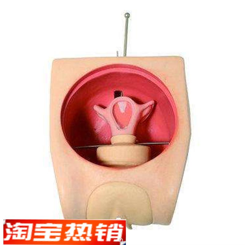 妇科技能训练检查计m划生育教学育练习模型宫内避孕器上环取环模