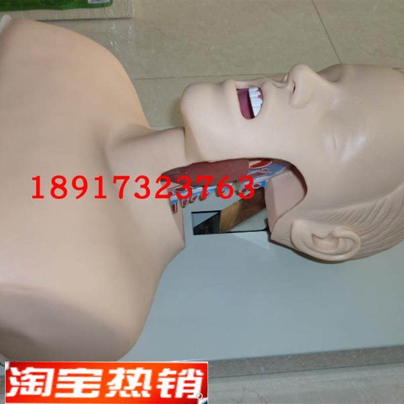 人体气管插管训练模型成人气O管插管训练模型
