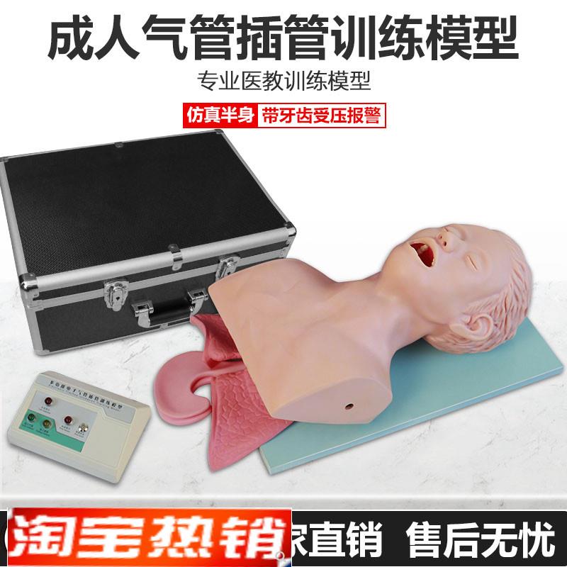 继科高级电子人体气管插管模型B(带报警)急救插管练习厂家直销