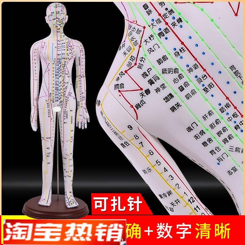 针灸穴位人体模型全身中医十二经络图铜人模M特图可扎针练习小皮