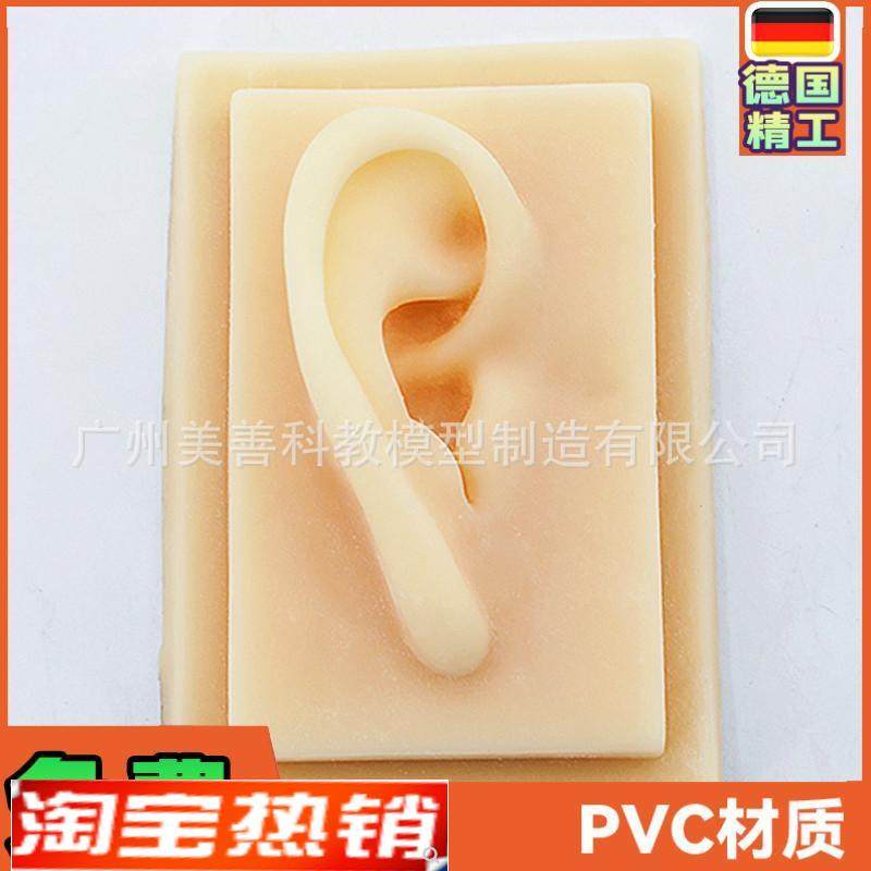 硅胶耳朵模型软TPRq耳朵模型仿真人体耳模助听展示道具一对