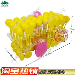 3223细胞膜流动镶嵌模s型组件可组装中学生物化学实验器材教学仪