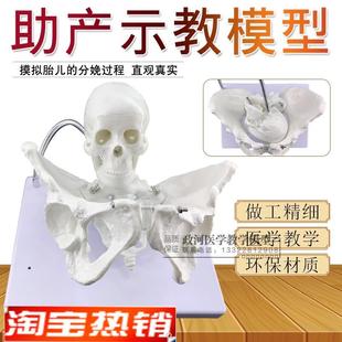 分娩骨盆模型分娩演示教学产妇A助产骨盆模型生育助产示教模型