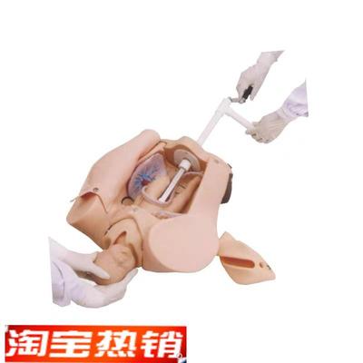 上海医模YM/F53高级H手摇分娩机制示教模型