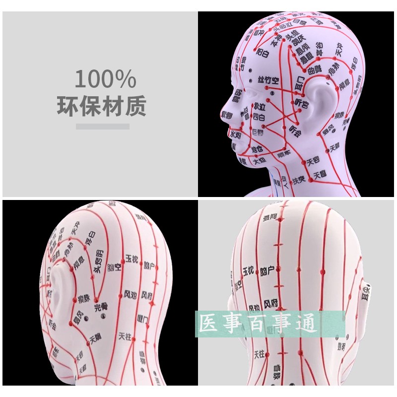 经络大号60cmk人体穴位模型人体经络模具人体针灸模型十二经脉