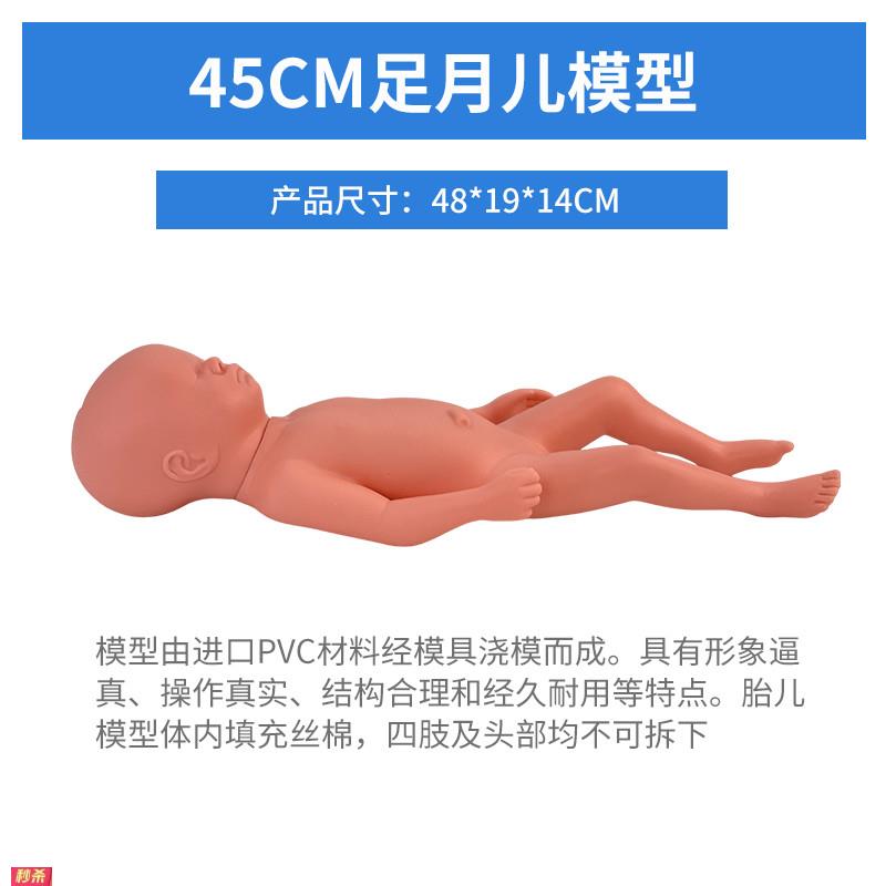 高级足月胎儿模型新生婴儿护理模型人初生婴儿模型塑胶娃娃