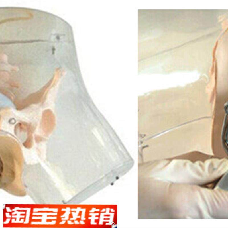 高级透明刮d宫模型透明刮宫教学模型女性计划生育模型