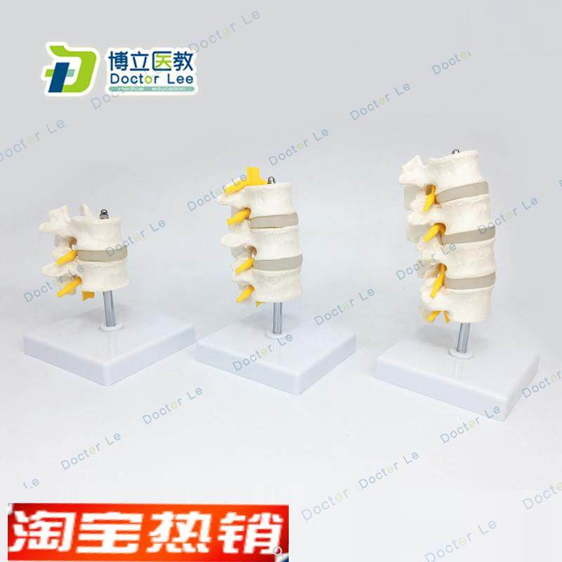1比1脊柱模型人体骨骼模x型颈椎骨血管腰椎间盘医用教学模型,玩具/童车/益智/积木/模型,其他模型玩具,淘宝优惠券,粉丝福利购,淘宝优惠卷