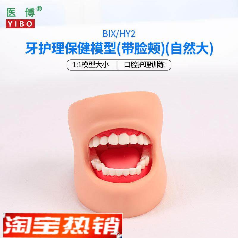 医博BIX-HY2牙齿保健护理模型带脸颊正常大小1比1牙I齿模型口腔护,文具电教/文化用品/商务用品,教学标本/模型,淘宝优惠券,粉丝福利购,淘宝优惠卷