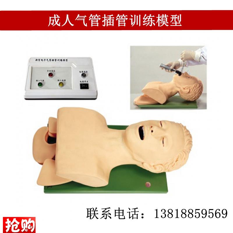 直销成人气管g插管训练模型医学用插管技能教学模特电子人体上半
