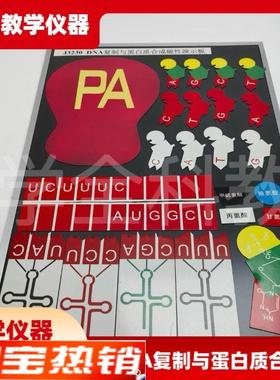 DNA复制与蛋白质合成磁性演示块J3230磁板生物实验X器材教学仪器