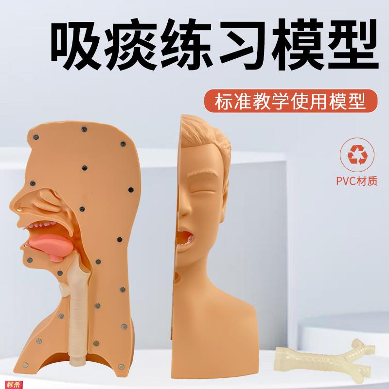 高级吸痰练习模型鼻腔口腔插管吸引训练模型医学用操作教学模型