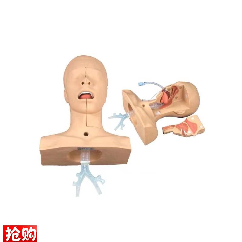 高级吸痰练习模型鼻腔口腔w插管吸引训练模型医学用操作教学模型