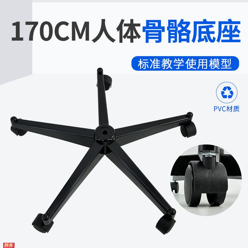 170cm人体大骨骼模型配套的底座黑色塑料底座及支架铁棍