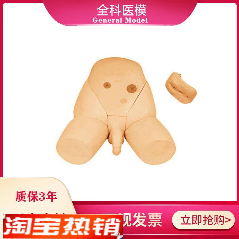 男女性别可互换整体导尿模型护士导尿练习M着装式内外生殖器模具