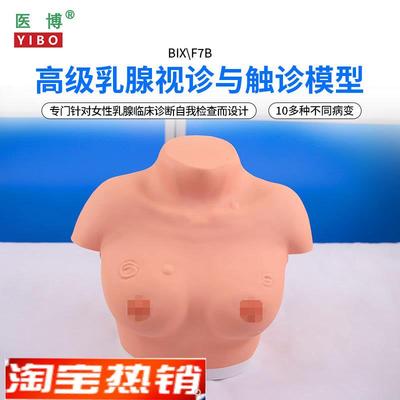医博BIX-eF7B高级乳腺视诊与触诊模型乳房检查模型乳房乳腺病变检