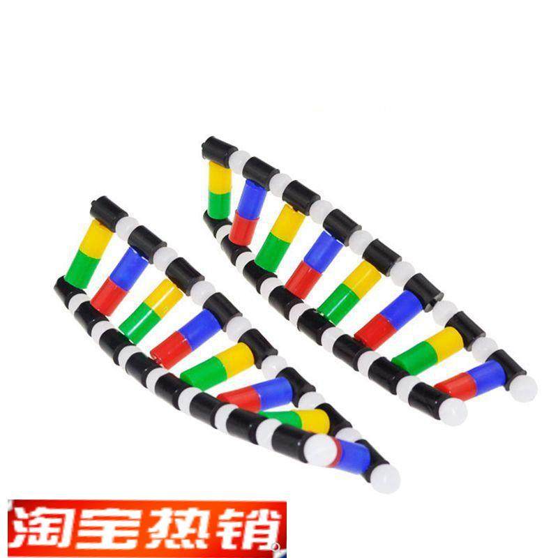 DNA模型脱氧核糖核酸细胞核y中学生物课教学器材医用碱基配对遗传