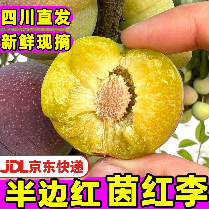 【京东快递】正宗四川半边红李子新鲜水果半边红脱骨非蜂糖李