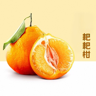 【四川春见耙耙柑】正宗四川春见耙耙柑新鲜水果整箱包邮