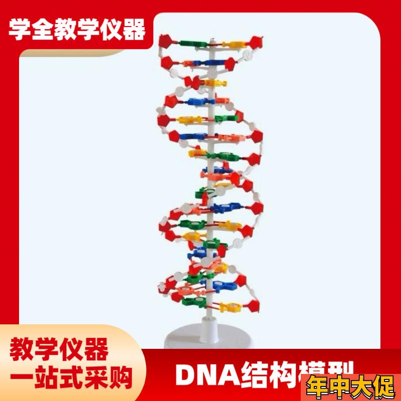 DNA双螺旋结构模型组件J33306高中学生用生物实验T器材dna教学仪