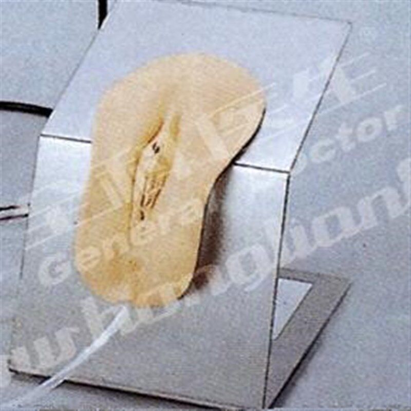 高级着装式女性导尿模型GD/H28AE女性导尿插管模型 教学培训专用