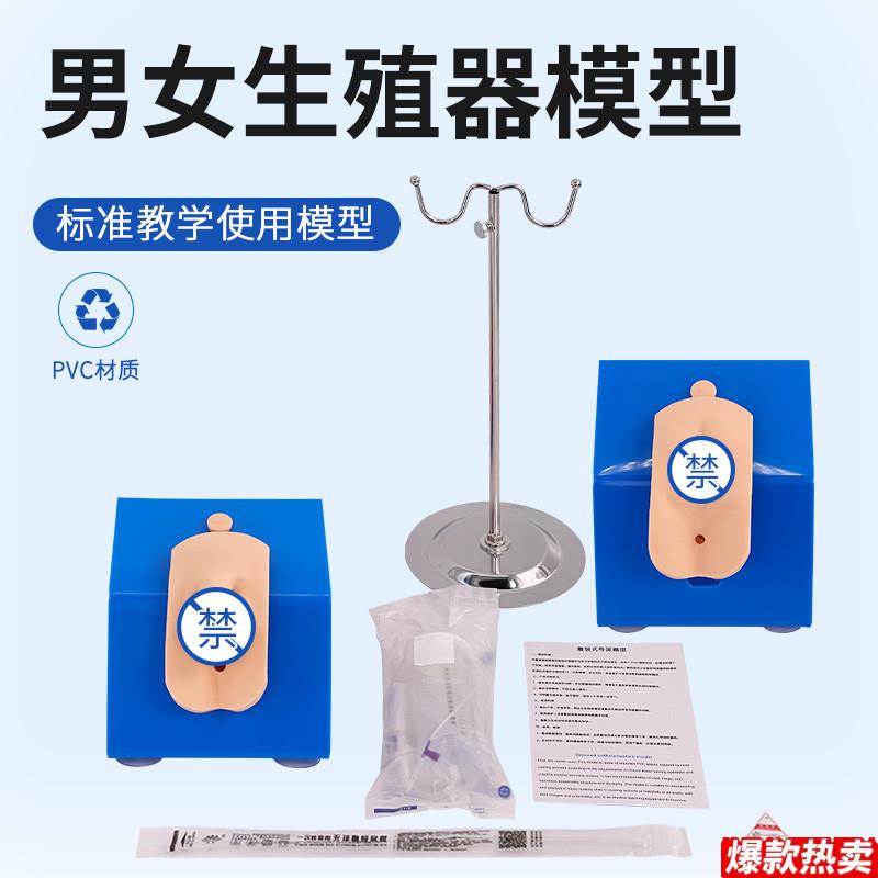 高级着装式女性导尿模型外阴护理操n作模块真实导尿操作训练模型