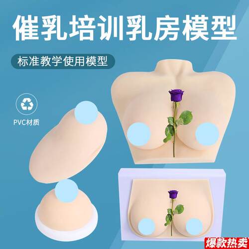 女性硅胶乳房模型催乳师培训道具哺乳E教学w模型假乳房医学教具