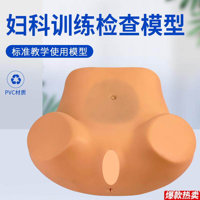 高级妇科检查模型I高级妇科训练模型妇科内诊子宫检查模型