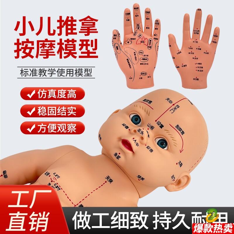 小孩推拿模型练习娃娃全身穴位模型彷真婴儿宝宝按摩K月嫂培训教