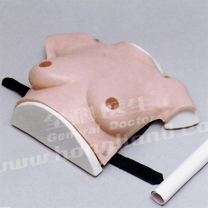 高级着装式乳房自检模型GD/F7C/女性乳房检查模型W/乳腺自检模型