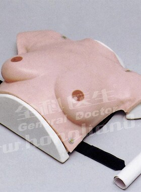 高级着装式乳房自检模型GD/F7C/女性乳房检查模型W/乳腺自检模型