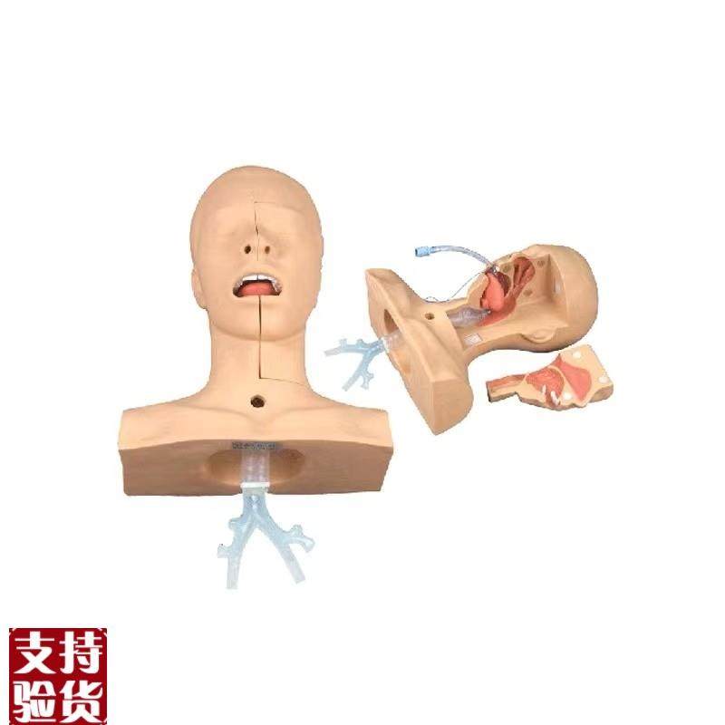 高级吸痰练习模型鼻o腔口腔插管吸引训练模型医学用操作教学模型,文具电教/文化用品/商务用品,模拟人,淘宝优惠券,粉丝福利购,淘宝优惠卷