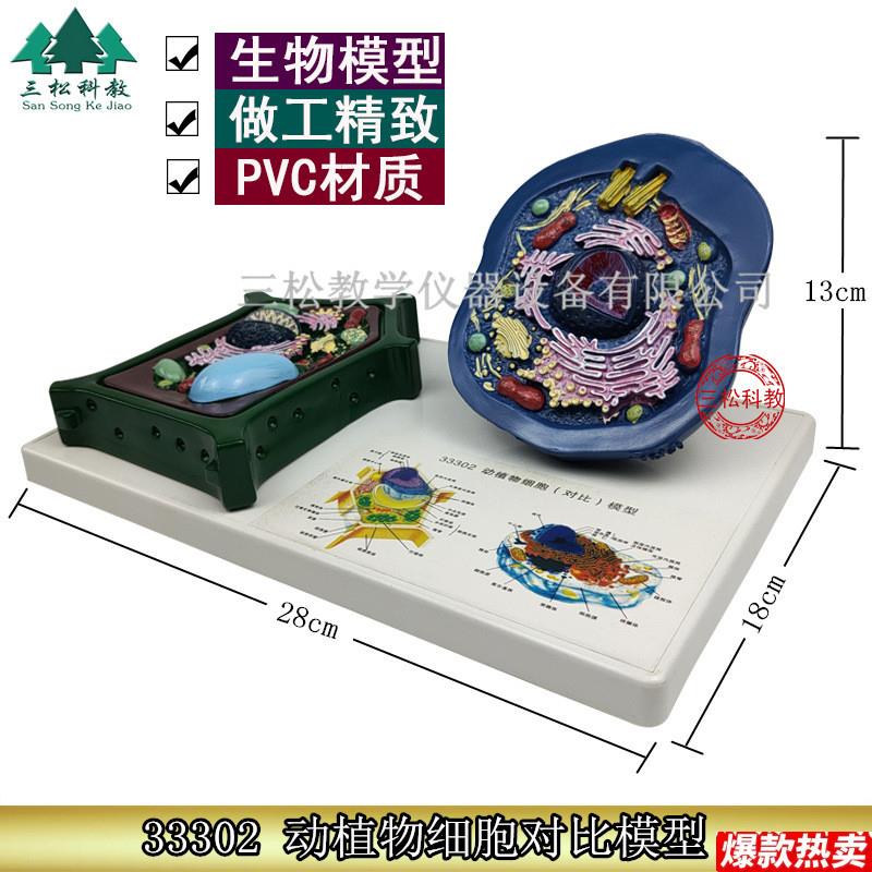 动植物细胞对比模型动物细胞Z模型植物细胞模型初高中生物器材