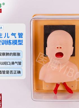 医博BIX-J3A儿童气管插管训练模型婴儿儿童B成人气管插管模型教学