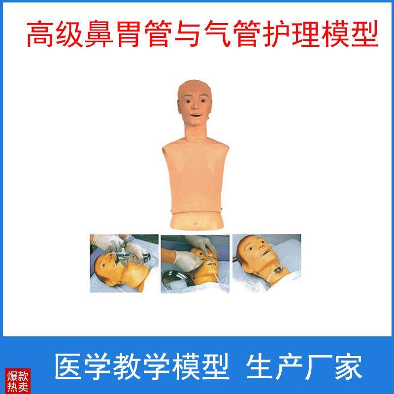 上海医模高级鼻胃管与气管护y理模型插胃管口切开护理教学训练模,文具电教/文化用品/商务用品,模拟人,淘宝优惠券,粉丝福利购,淘宝优惠卷