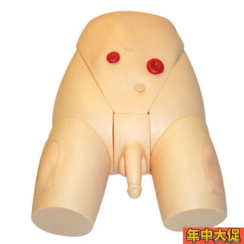 高级整体b男性导尿模型 人体导尿模型 男女性导尿模型导尿示教模