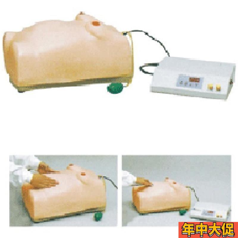 高级电脑孕妇检查模型 怀孕检查模型/妇科J检查模型 ZH-W2怀孕检