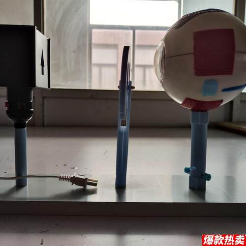 向阳花眼球仪晶状体曲率可变中学生物M实验器材厂家直销