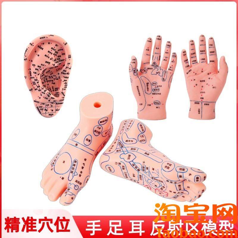 手足针灸艾灸穴位足模脚部按摩反射区H手膜穴位模特经络通足疗模,玩具/童车/益智/积木/模型,其他模型玩具,淘宝优惠券,粉丝福利购,淘宝优惠卷