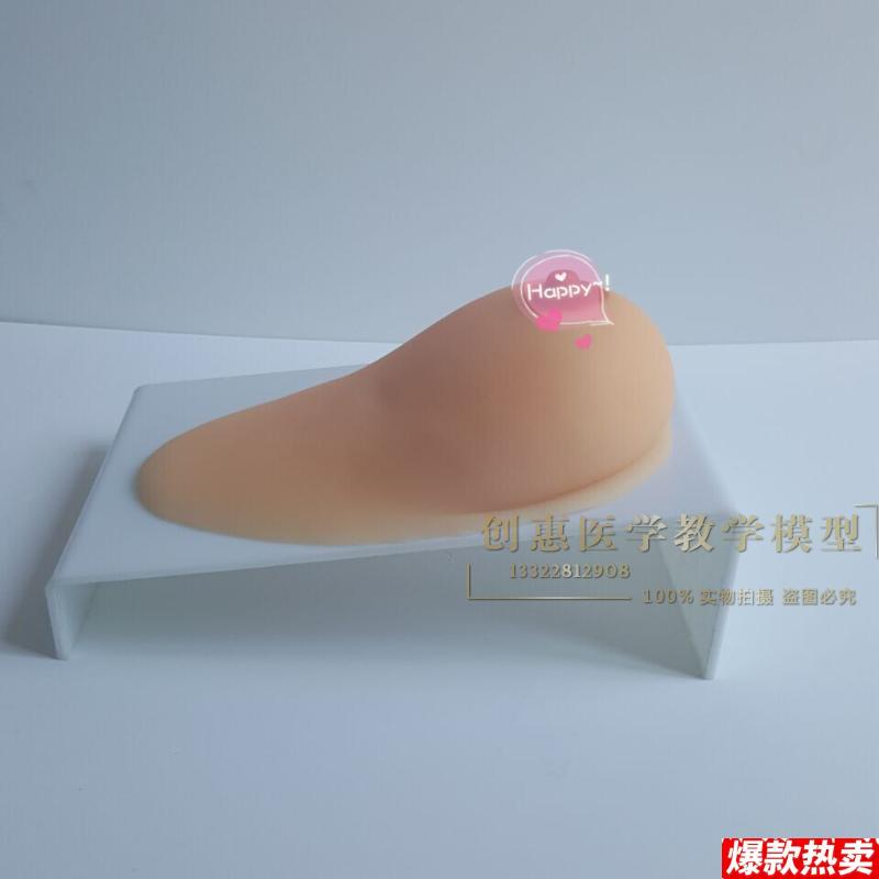 女性乳房s模型催乳师培训道具哺乳教学模型硅胶假乳房医学教具