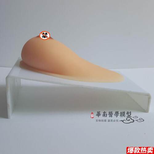 假乳义乳_女性乳房模型_催o乳师培训道具_哺乳教学模具催乳教育具