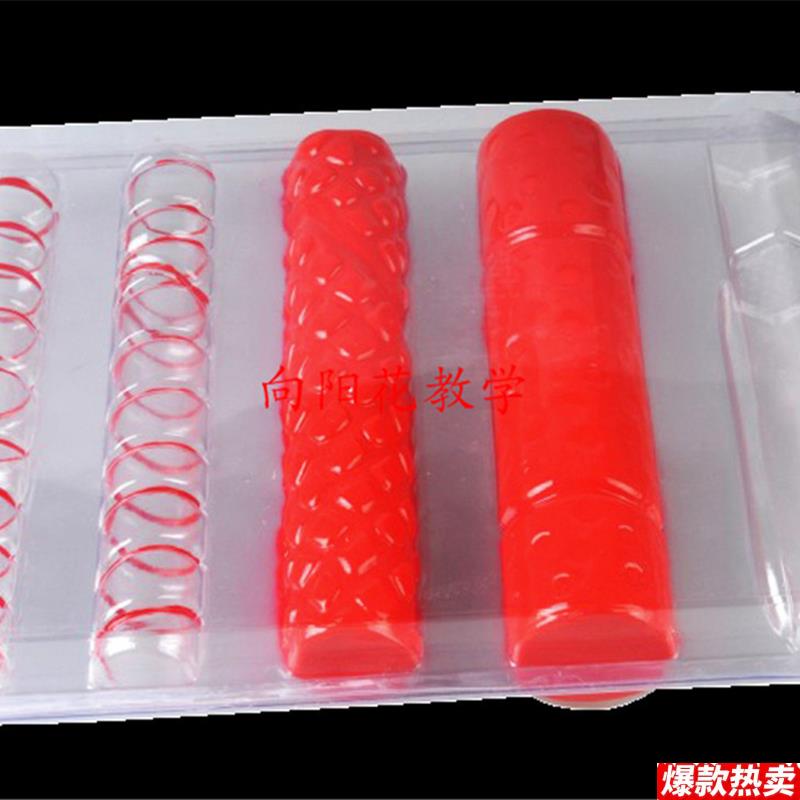 向阳花导管筛管模型教学生d物厂家直销包邮