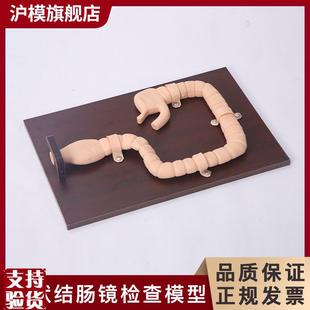 沪模HM/LV42乙状结肠镜检查训练模型结肠内肠病变模型消化道内窥