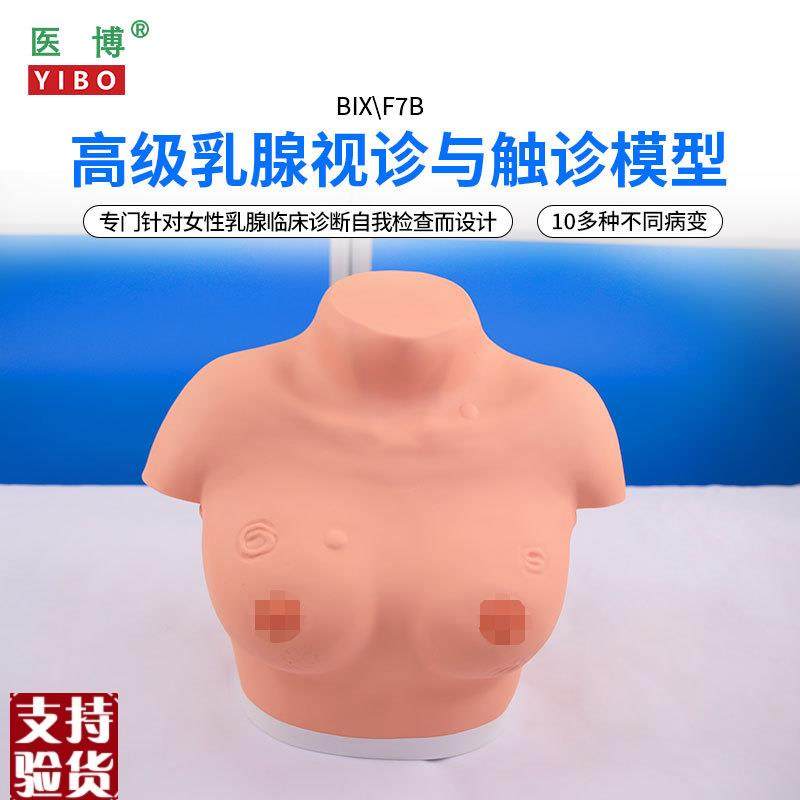 医博BIX-F7B高级乳腺视诊与触诊模型乳房检查模型乳房乳腺病Y变检,文具电教/文化用品/商务用品,教学标本/模型,淘宝优惠券,粉丝福利购,淘宝优惠卷