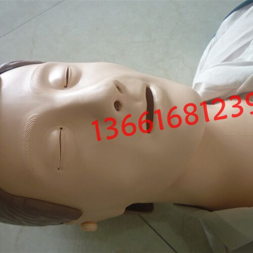 成人CPR急g救训练模拟人心肺复苏训练模型人胸外按压呼吸模具